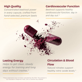 Pulsebeet Beetroot Capsules – Heart, Circulation & Energy Support